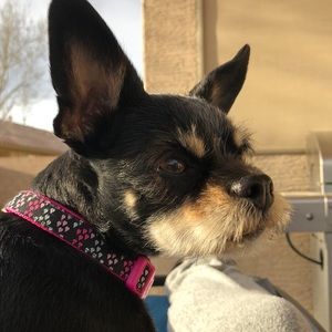 Meet your Posher, Emily